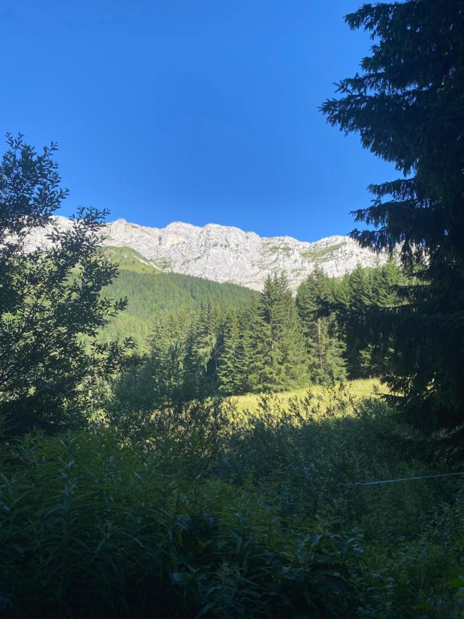Cretes Du Vercors Vue Magnifique Виллар-де-Ланс Экстерьер фото